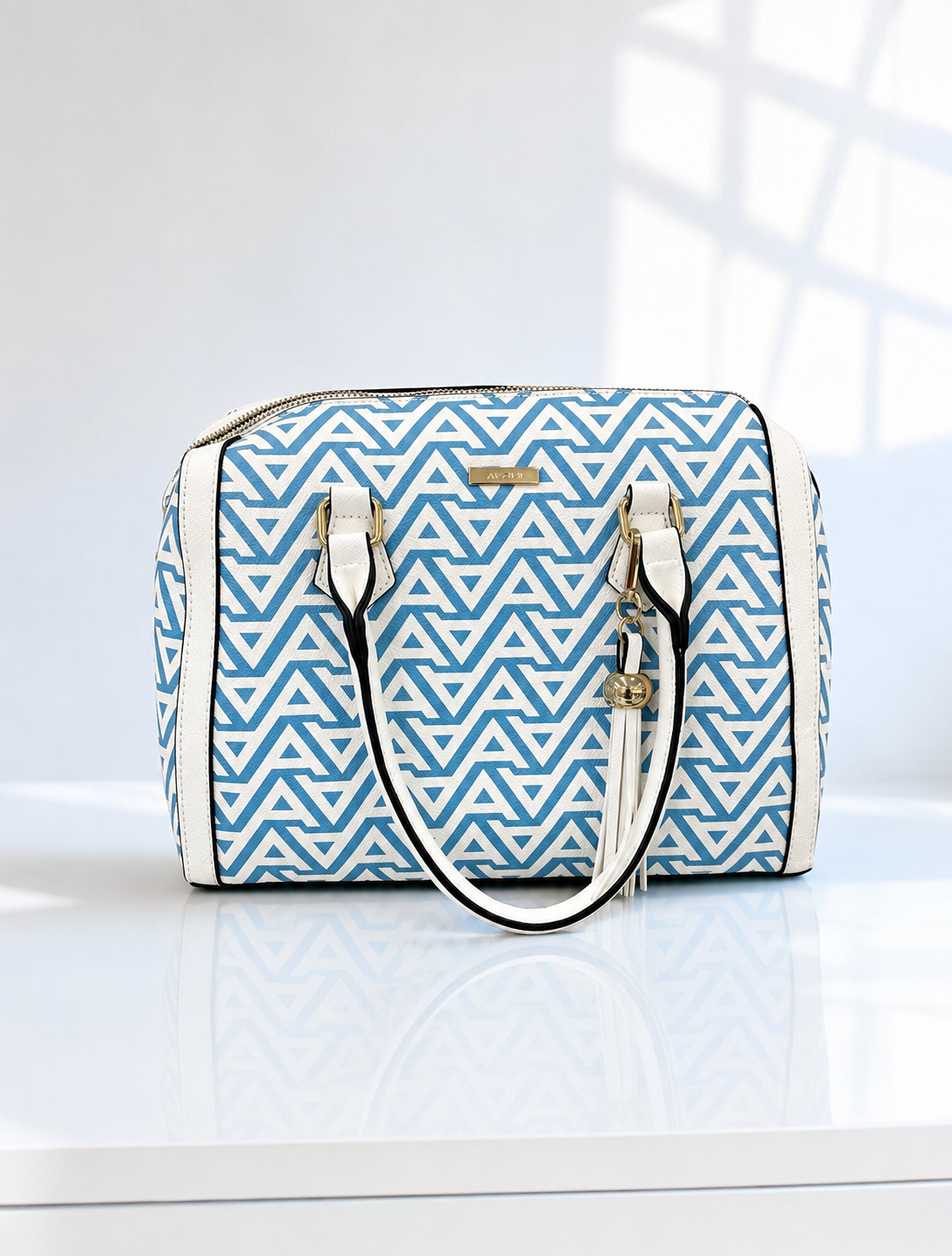 CARTERA ALDO